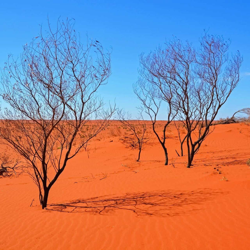Craig’s Range Of High-Performance Paints Are Perfect For High Temperature And Locations Where High Levels Of Sunlight Occur
