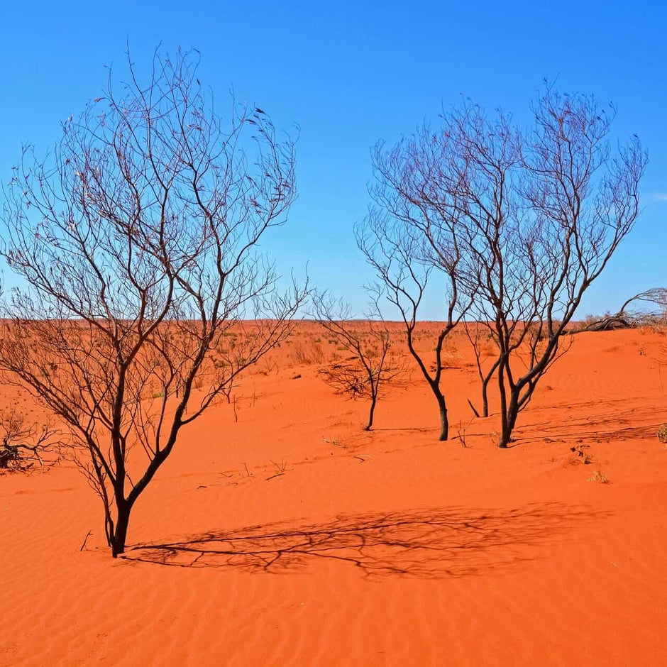 Craig’s Range Of High-Performance Paints Are Perfect For High Temperature And Locations Where High Levels Of Sunlight Occur